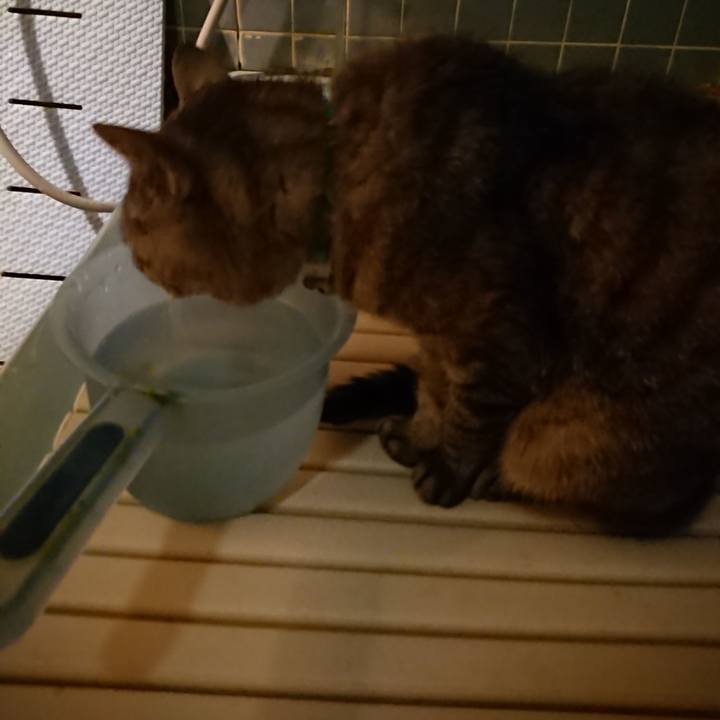 E114d1e6 bd3e 4403 8087 f509129fc40e 1569836175639