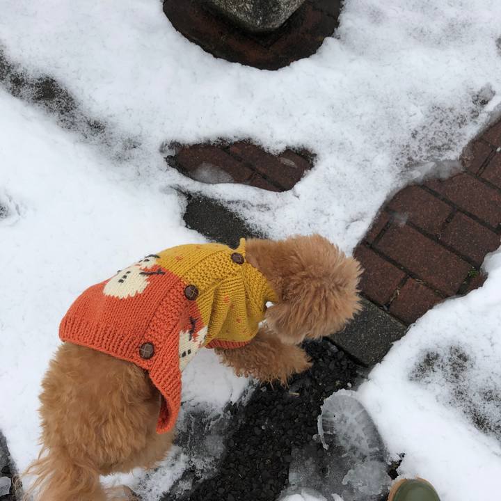 E114d4d1 1d10 4a7b 9fbf 50366b5f52b5 1554945816600