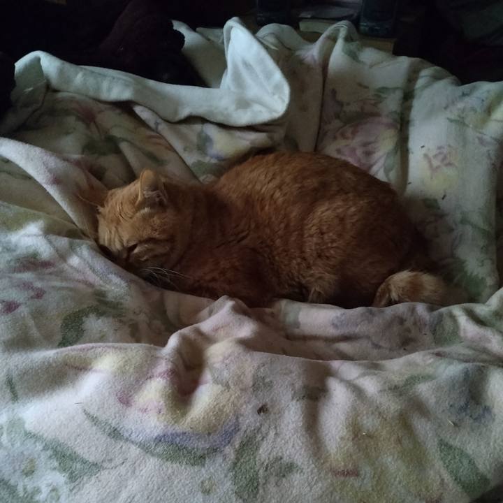 E114f033 f4cd 4e05 8c95 92eed9dbfbd2 1673661396592