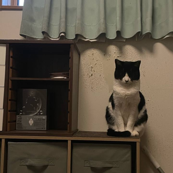 E114f0be 7bb1 49e5 860e 75a7bfd50b86 1711442024364