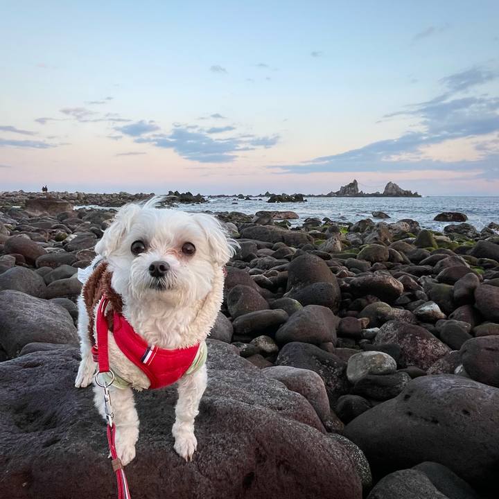 E1151d54 d157 44f8 a4bf 345ee40559c4 1646628671764