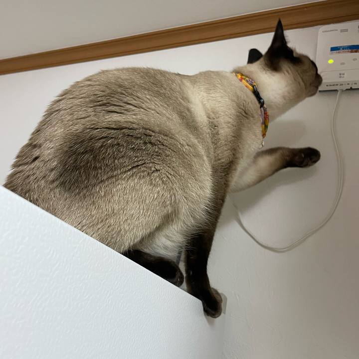 E1156f9c eb2d 4044 b5d2 74644b864fbb 1724788441863