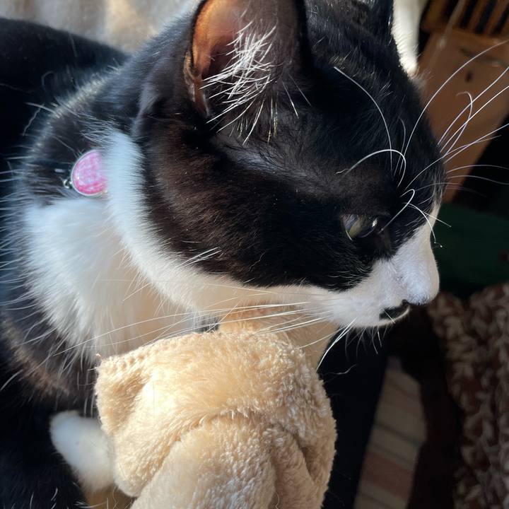 E1158020 25ba 4e7e 9c87 996ae8dda11a 1666911502920