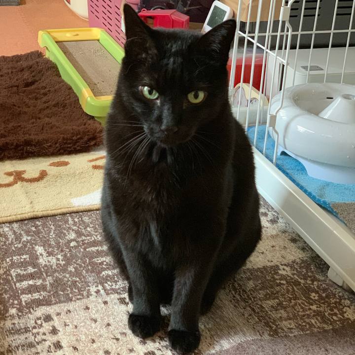 E1158649 d2de 4873 bfe5 9bcdd87c4068 1554601156289