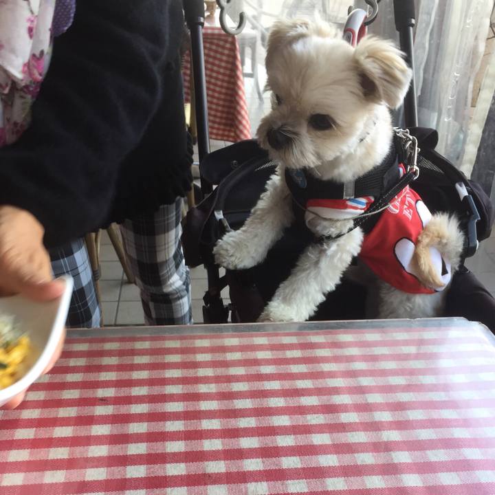 E1158fa1 150a 4ccd b220 88e26e326033 1509862268033