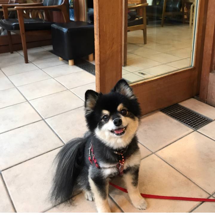 E115a354 01e3 47ac a2f1 6fb84f9a4f54 1547904576443