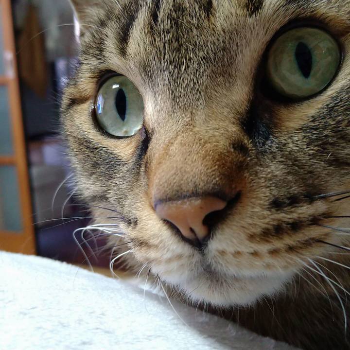 E115a653 c80b 488a aeff dc6922aab262 1672559415722