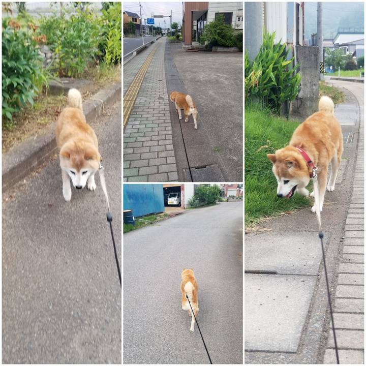 E115b694 c737 452d 9ff4 6f8907840374 1751621339423