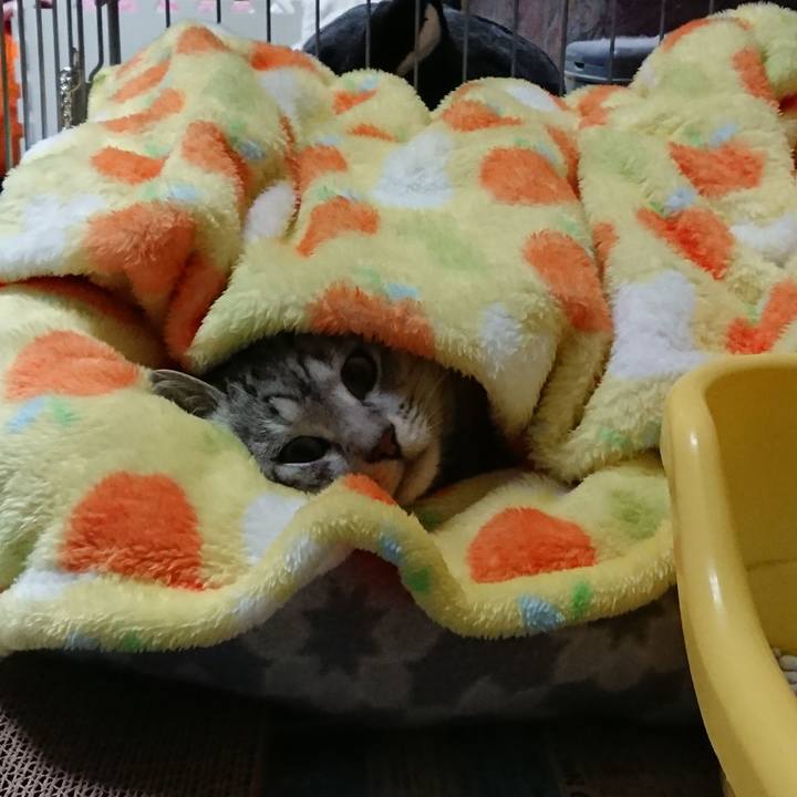 E115dabf d772 4628 b150 d1033266a3d2 1519377392291