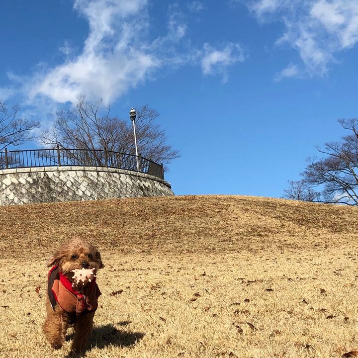 E115dfe8 63f4 4d97 a957 b6f9eaed3851 1547172576506