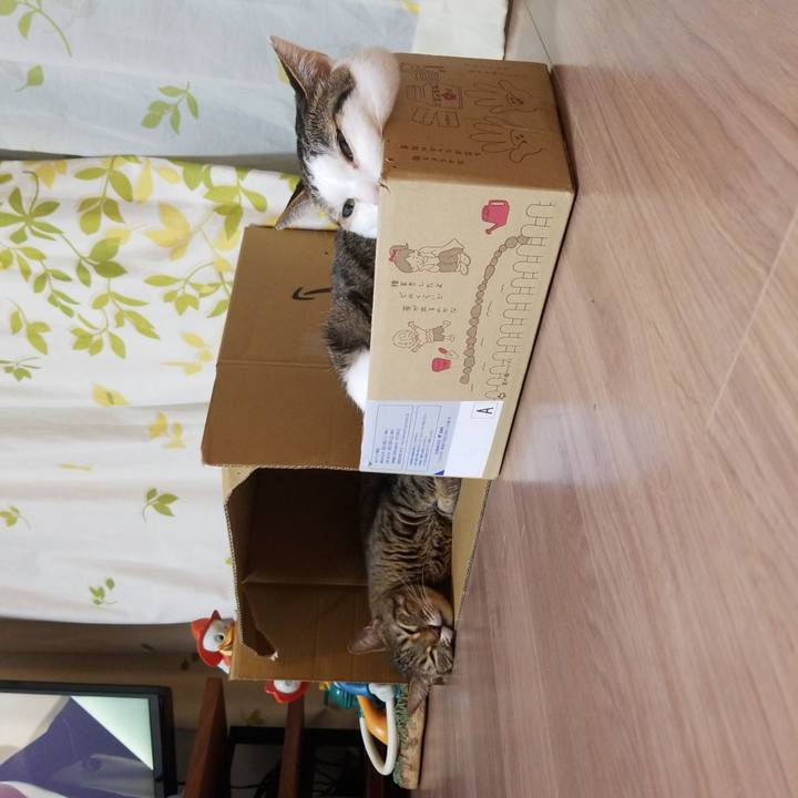 E11601d4 a4e6 428c a397 a950bfb102a8 1587126107456