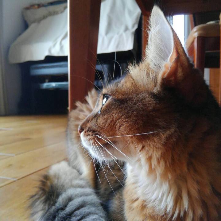 E11672ad 2233 4896 aa02 d973c6c7da9d 1566514517407