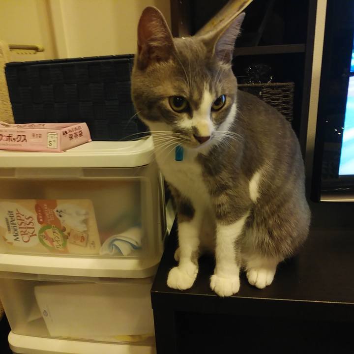 E116bbfd 0b6e 4bf9 9eab 73f758e2d230 1595250960062