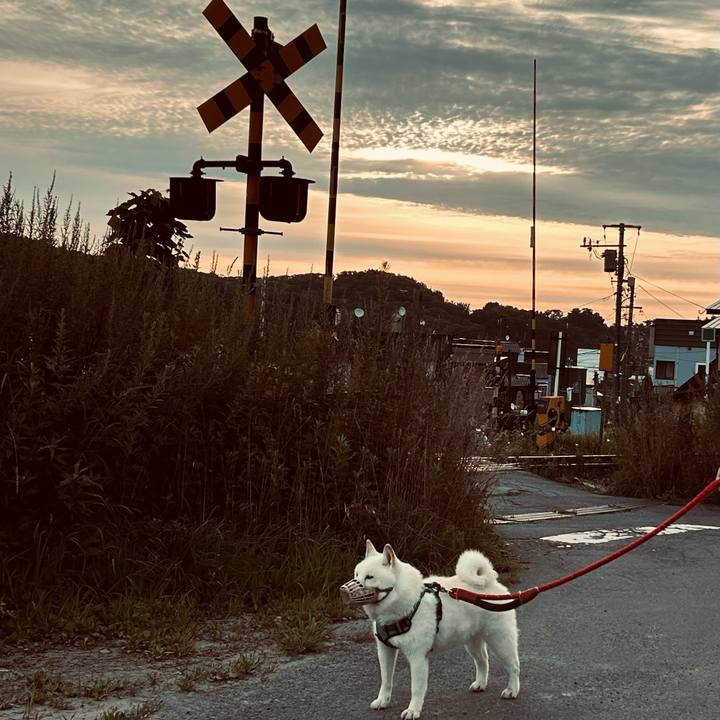 E116c7a1 74cb 4483 a81e d1ce81aa1a1f 1755118234229