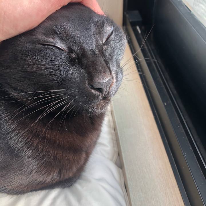 E116d5c2 f264 4c7e aae9 cf548c3037f7 1613608779751