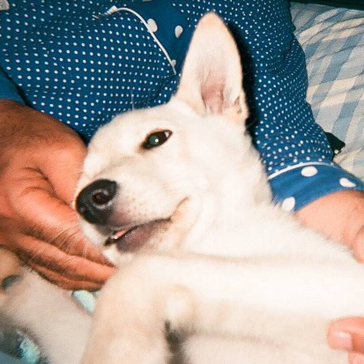 E117097e 810d 424e a6e6 b7f5d08fac3c 1526198459413