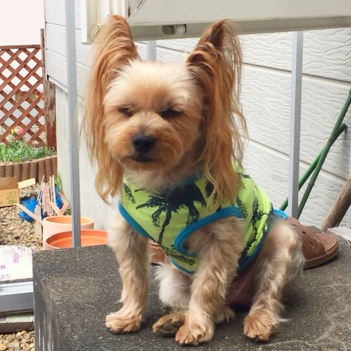 E1170ebf 560d 44ca b445 cf287b05f477 1525251596212