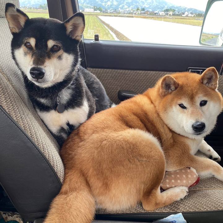 E1171f92 a937 4356 8d99 52866d74f919 1681701133452