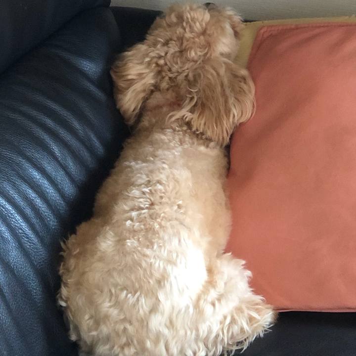 E1176c8b a42f 4f83 91ff 3115b8f49f21 1620530146203