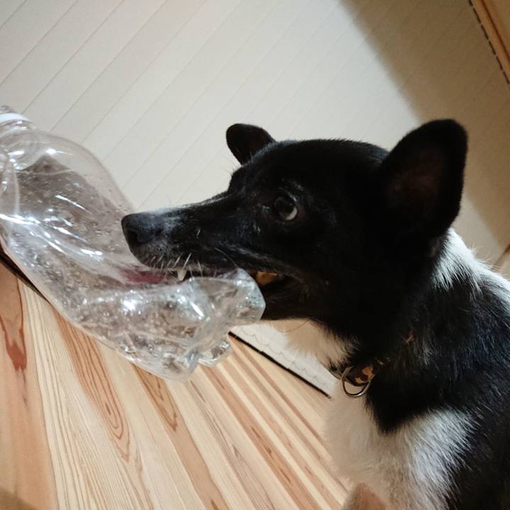 E117a616 a4d9 4eda 9910 7a3637e13dd8 1563978435258