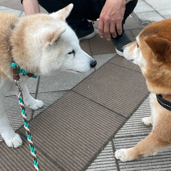 E117d6bd 28ce 4c02 a623 c13d5249a340 1683202727920