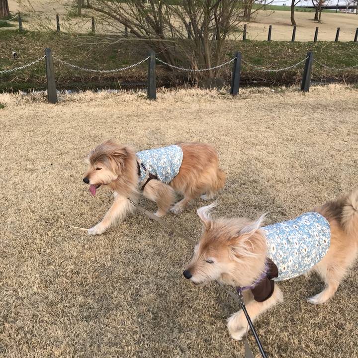 E117dd4f 2897 411c accd c8ef5600d3bf 1552815239259