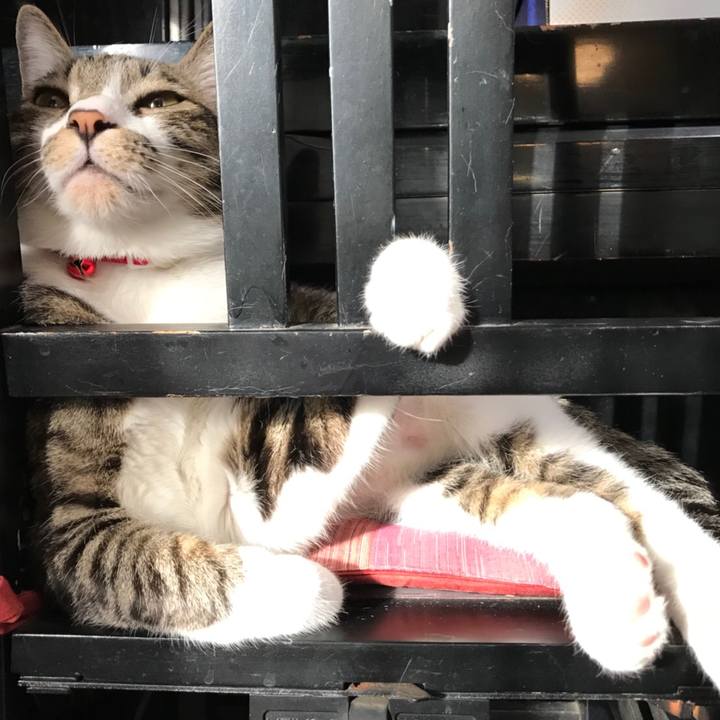 E11823e3 8ec5 4712 902c c724a75cfb75 1518219152339