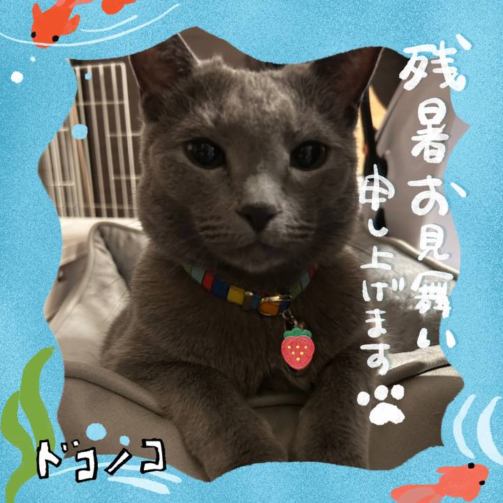 E1183b8a e458 48d6 93e9 df666523171b 1723202513894