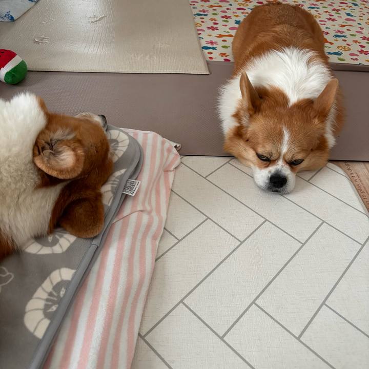 E118c5d1 99de 4290 a0f5 9050a8bd19fd 1761442854101