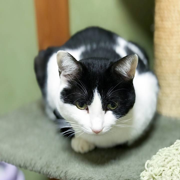 E118cd46 f4fe 46e4 befb d9bb843bffbb 1516323314809