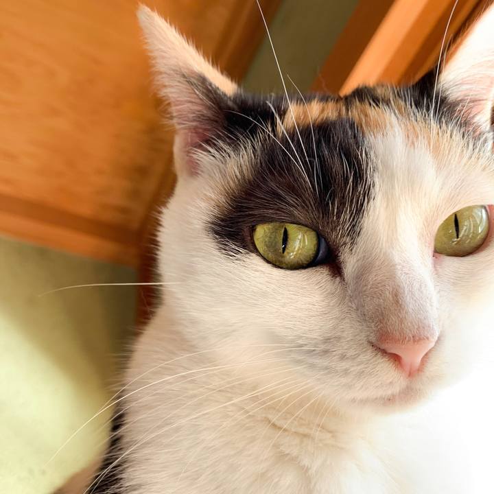 E119350d d145 4288 b3ef 29571f30926d 1566260471327