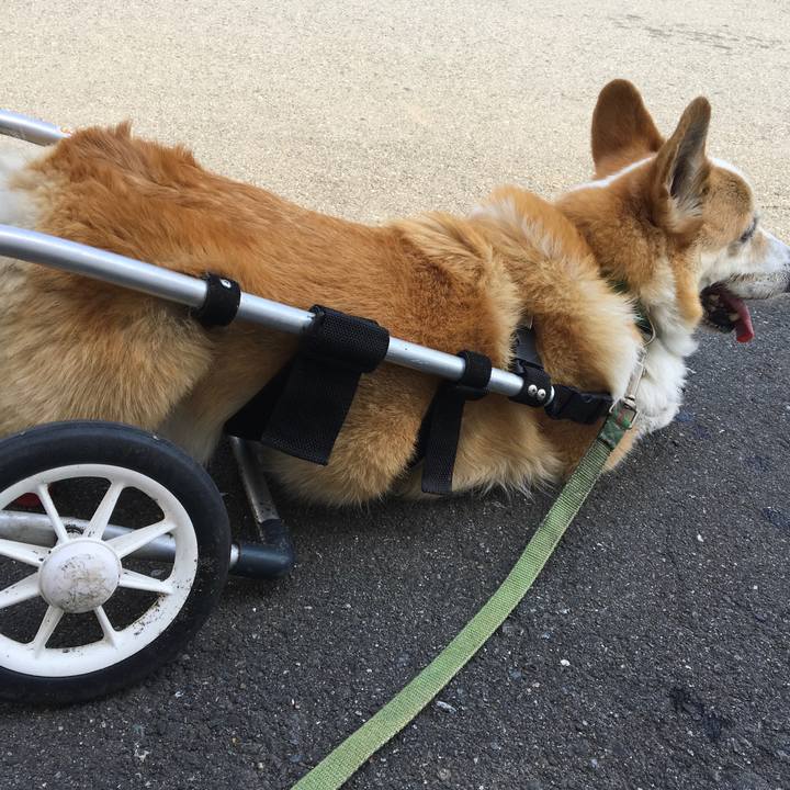 E1195302 b43e 4b85 82db 64ef12e7e046 1527474485990