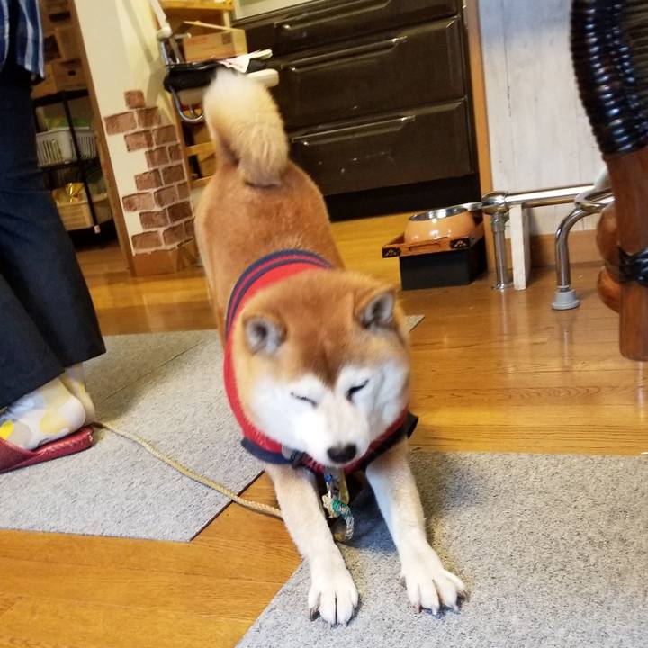 E1196687 b707 4466 899a 31492f45a503 1606519466615