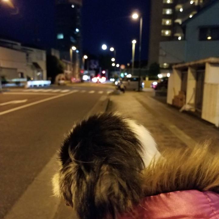 E1196f20 7018 4034 9f40 ddae42b8c34c 1634735388348