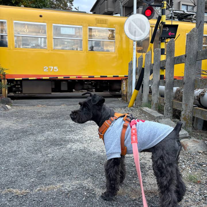 E119920d cd46 4682 86b3 ed6c995e3cec 1763527456898