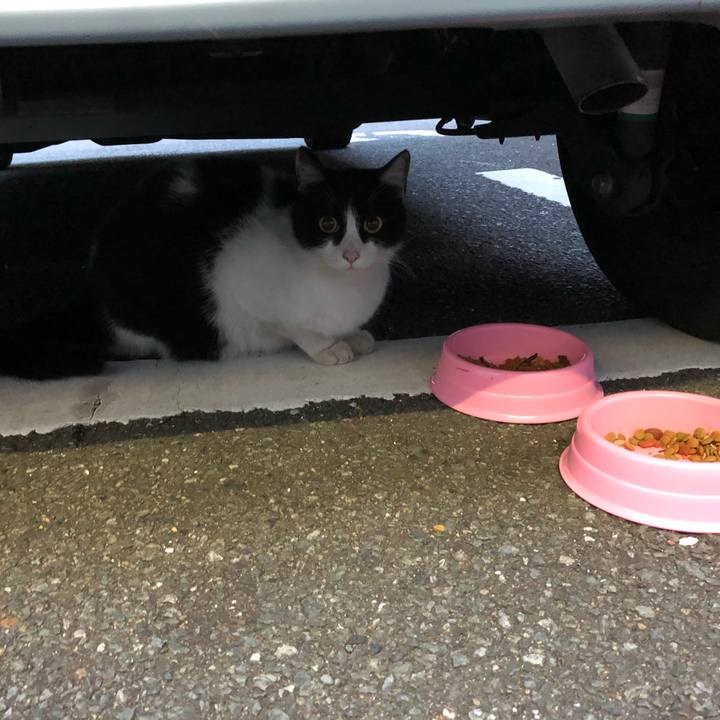 E119d338 99b5 49fa 89e6 c704e8027a57 1588022722243