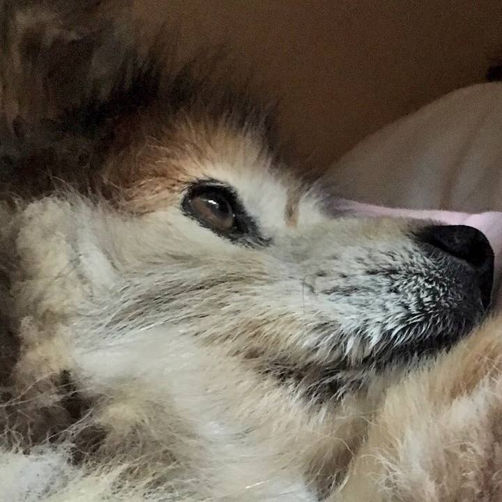 E11a03ec 89e3 4cf9 8ef6 a50fd8351d2b 1599549185305