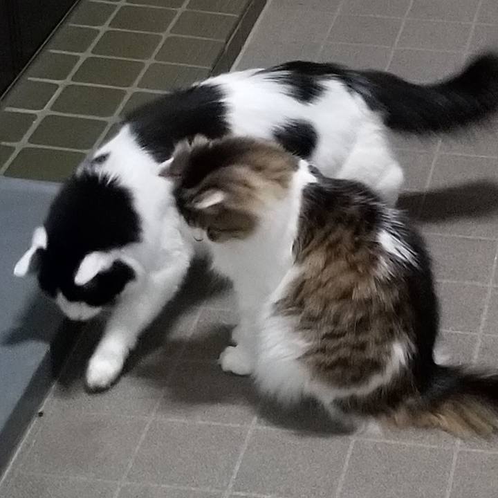 E11a128f 4ee6 4a97 8830 c74277756a9f 1593259011543