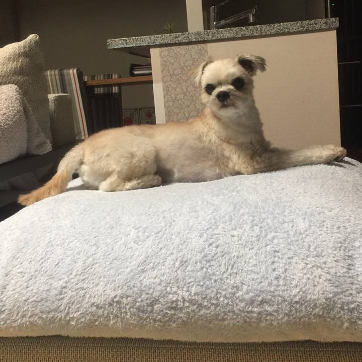 E11a2771 b7df 434f aa01 1807175a25d9 1535373814875