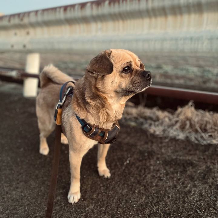 E11a4119 c5f8 4864 9579 991e310895c9 1770588443175