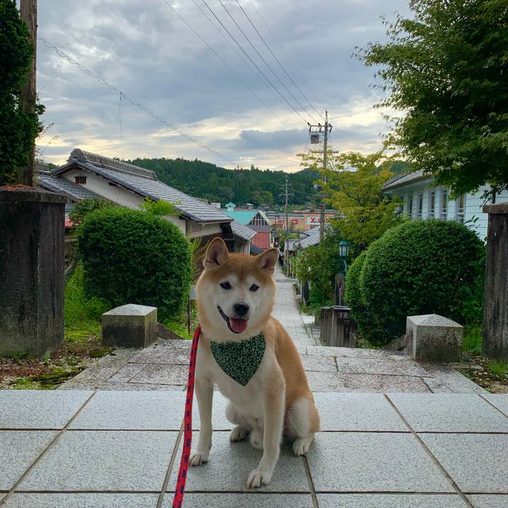 E11a8e55 eb29 4d55 9324 4981a6faaf16 1695371234653