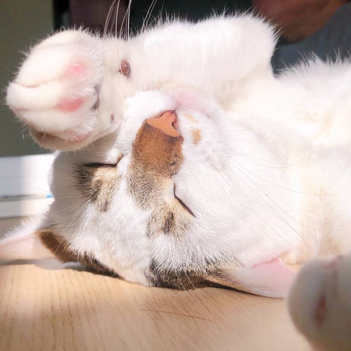 E11ae2c7 618d 409f bdde ecfaa792121c 1579489656756