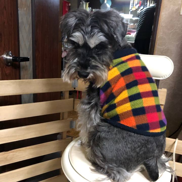 E11ae2fb 7c66 43d4 8181 31cb4ba96eb9 1615986521046