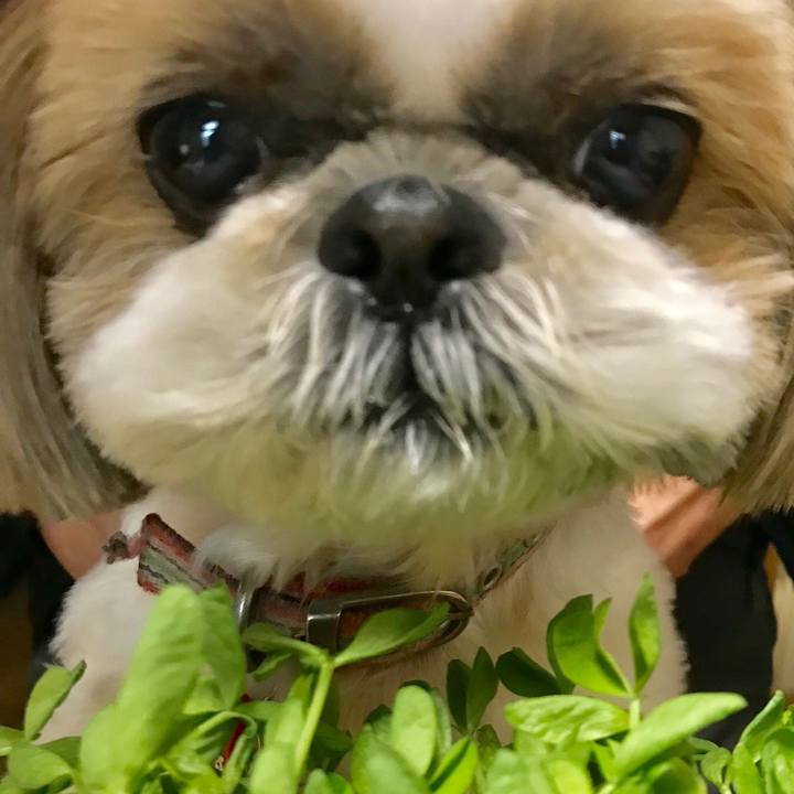 E11aec14 e203 41ad abb2 8edba6d785a5 1521865569770