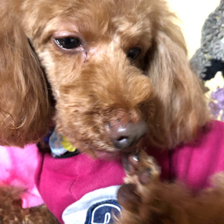 E11b3ce4 ae1a 43d3 a72f ff250dee89ea 1582543770969