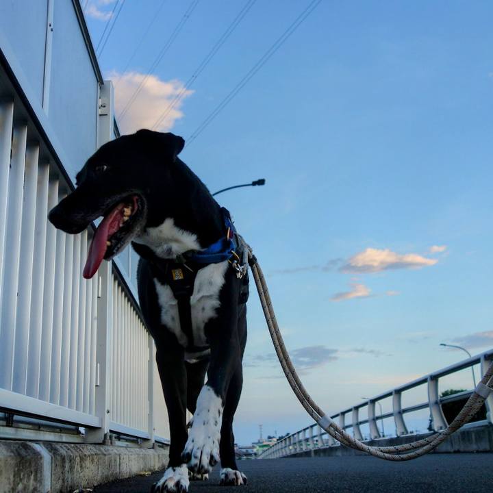 E11b64e5 67d8 466e ae3e c5830ada8df3 1656068616482