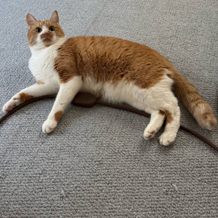 E11b9f76 a4c0 4d3c 955c 1c25b17cd9c7 1766371220448