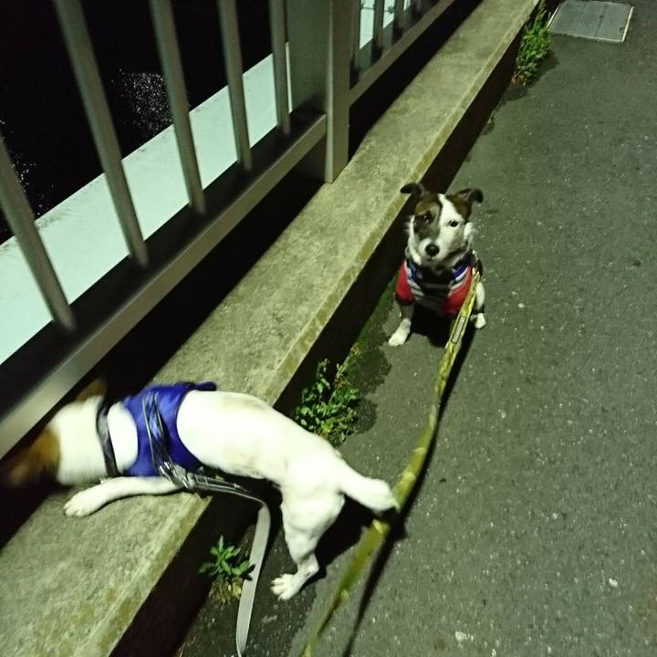 E11bb344 709e 4800 a075 d28db3336285 1524136384977