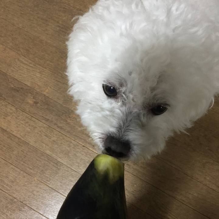 E11bce9c 756a 4e0a b996 6145355c5103 1532952468570