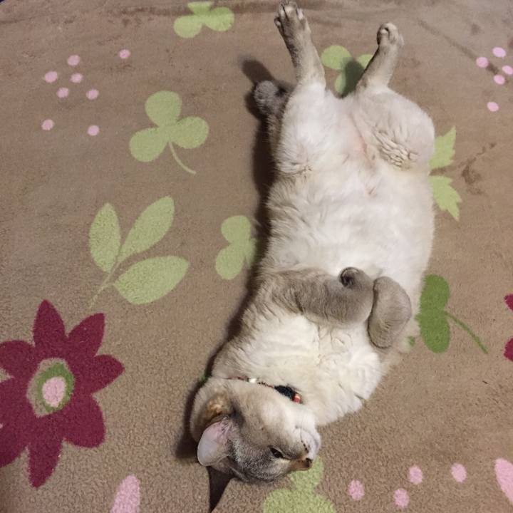 E11bdedc 878f 4675 8fb3 46d85d2b7f7e 1549627116521